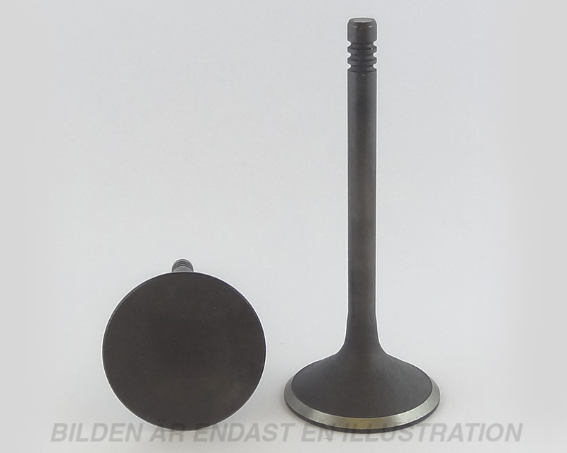 Valve Intake B5252FS