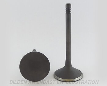 Valve Intake B5252FS