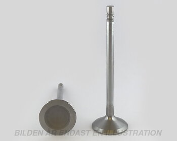 Valve Intake 31mm B5254FS 20V/Turbo/B6304FS 24V 1991-