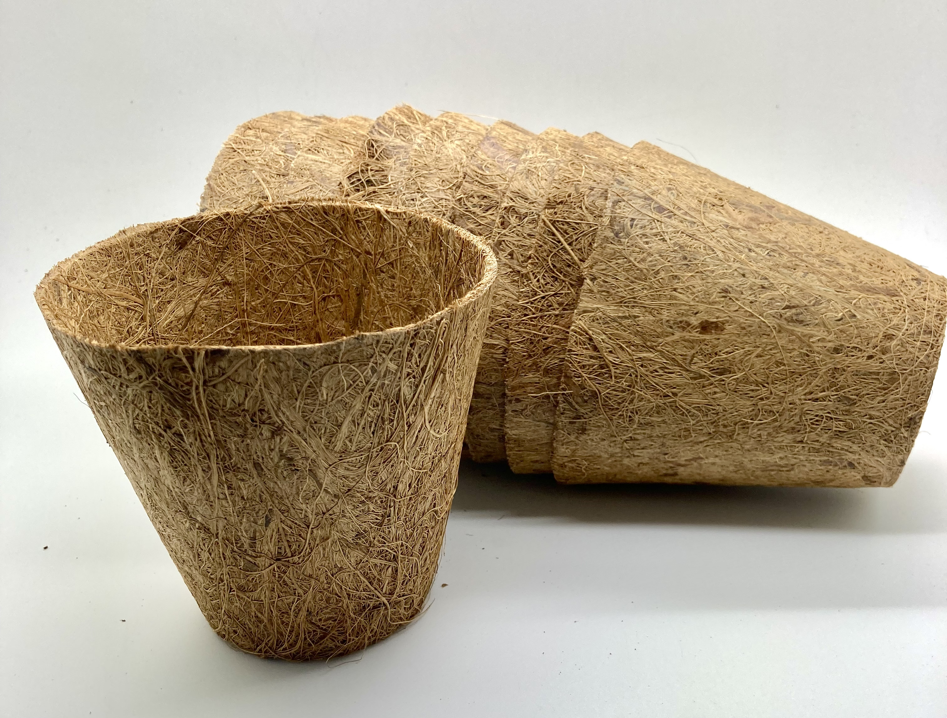 Kokoskruka 10cm (Coir Pot) 10-pack - 2
