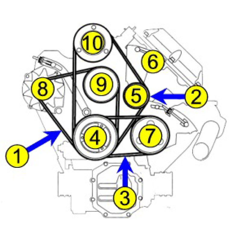 Belt - 2