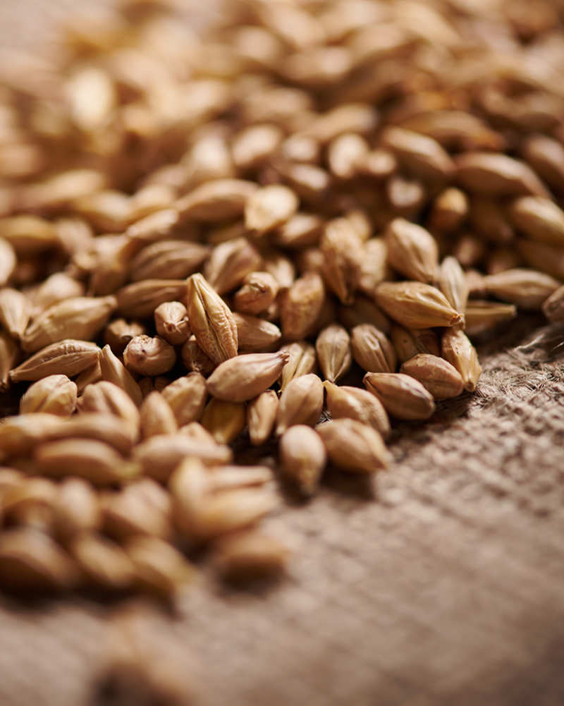 syremalt (Weyermann®), hel, 25 kg - 2