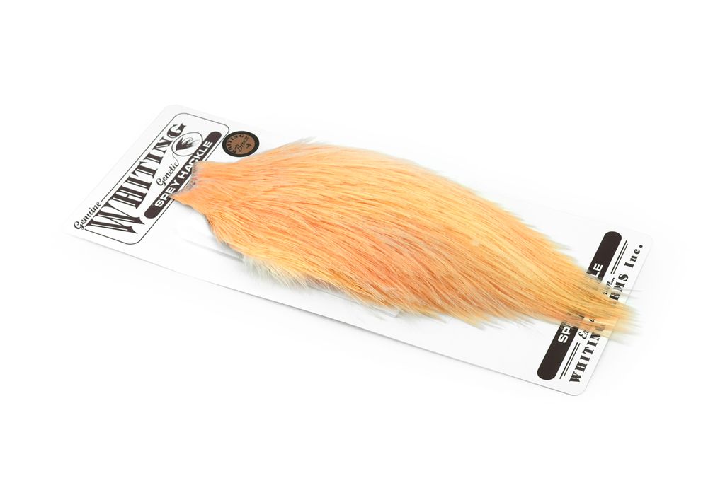 Whiting Bronze Speyhackle - 8