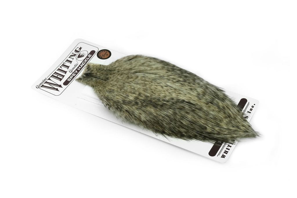 Whiting Bronze Speyhackle - 10