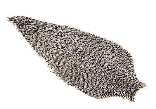 Whiting American Rooster Cape - 9