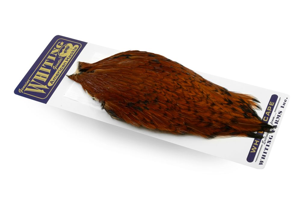 Whiting American Rooster Cape - 18