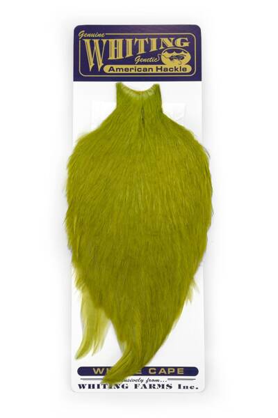 Whiting American Rooster Cape - 16