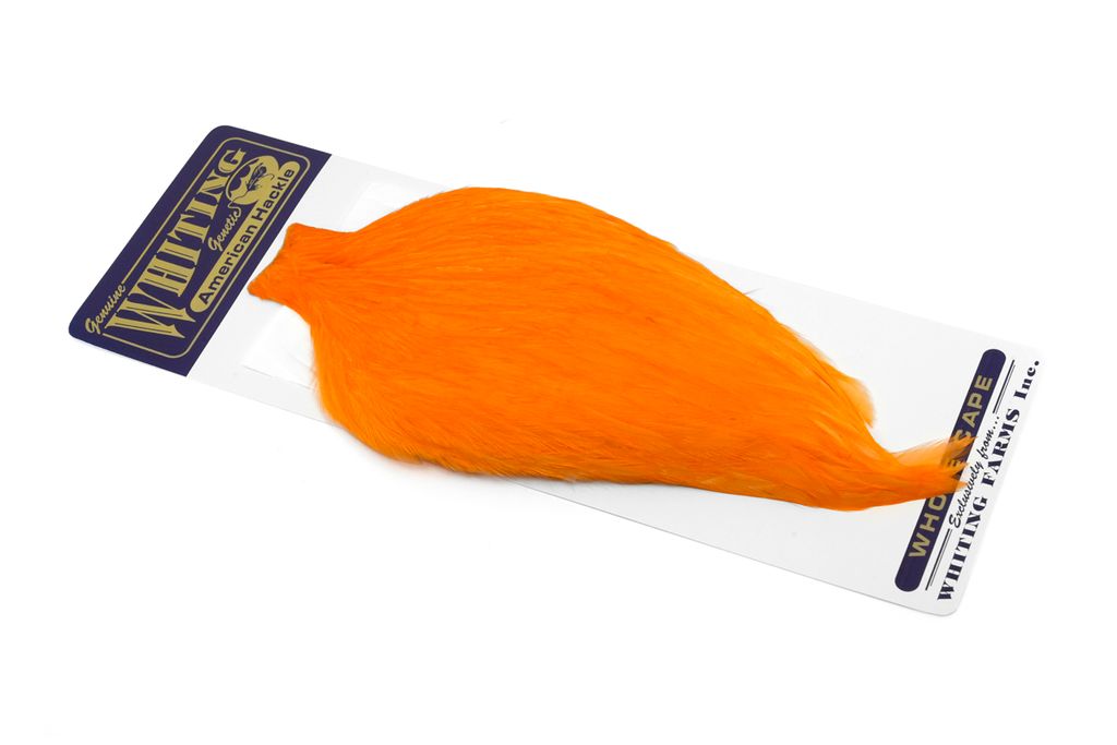Whiting American Rooster Cape - 24