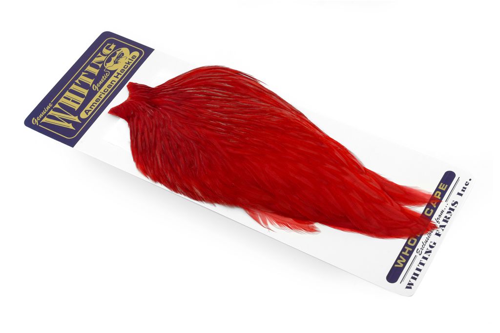 Whiting American Rooster Cape - 21