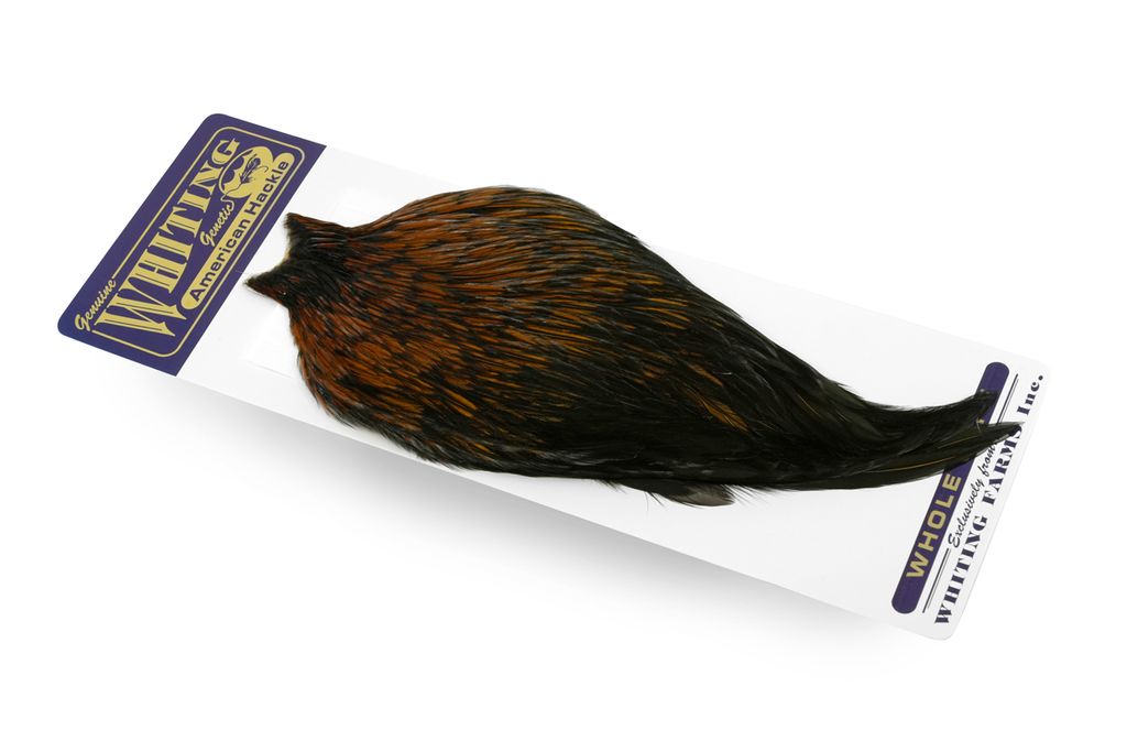 Whiting American Rooster Cape - 28