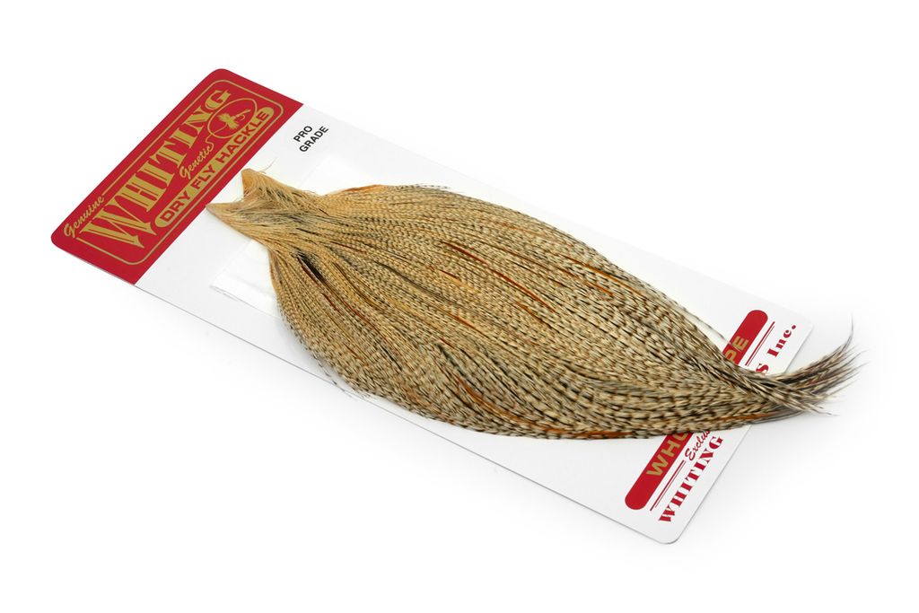 Whiting Pro Grade Cape Dryfly - 6
