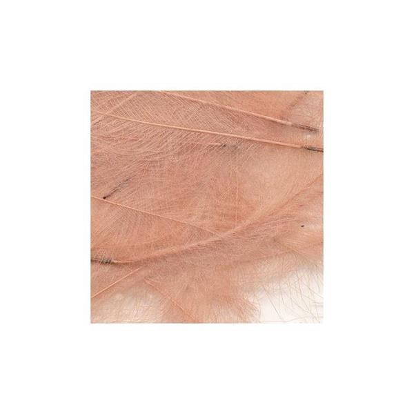Marc Petitjean CDC - 4