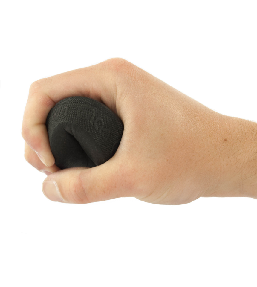 Sponge puck 