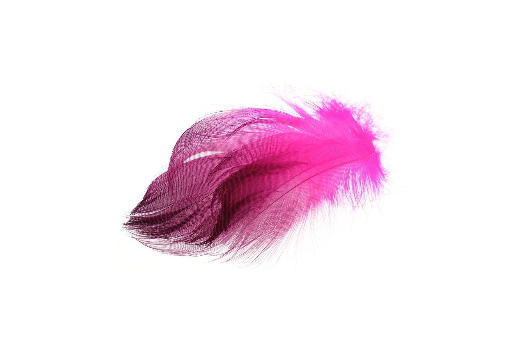 Teal Flank Feathers - 3