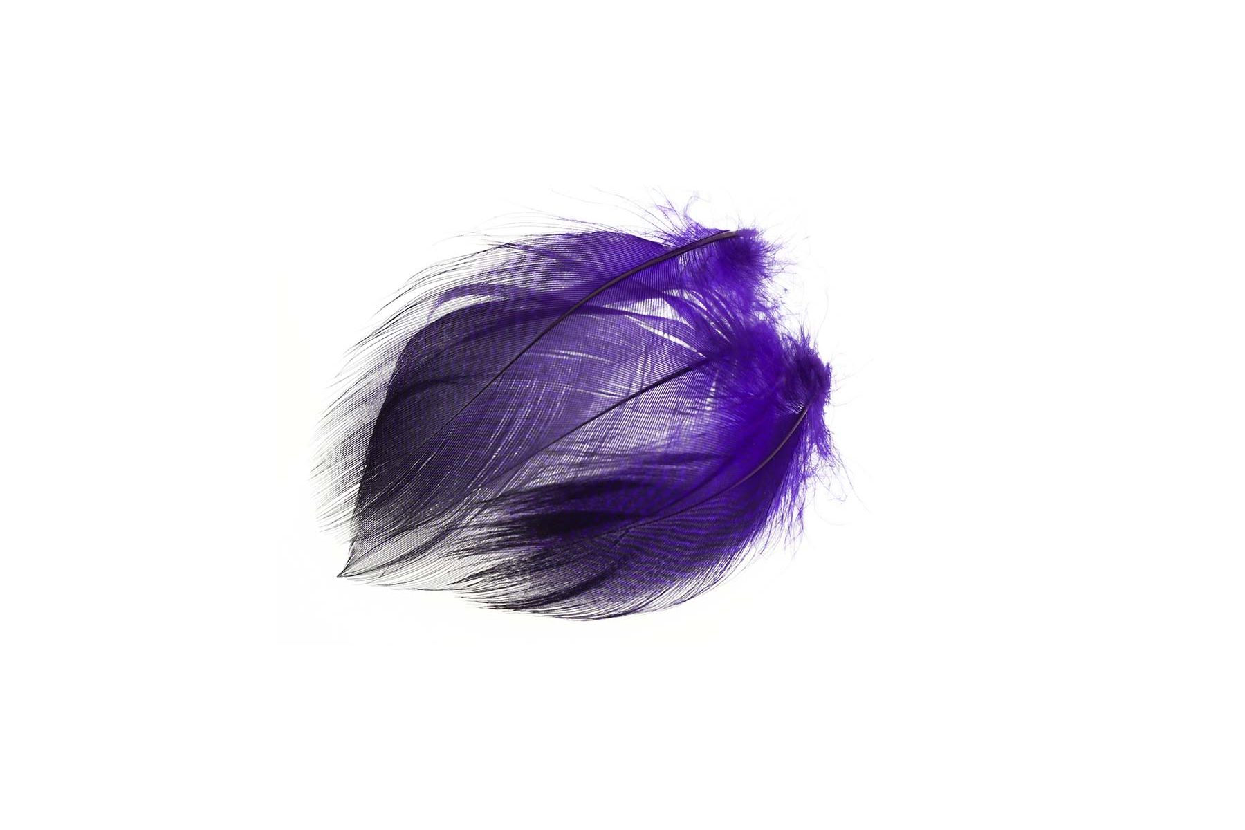 Teal Flank Feathers - 6