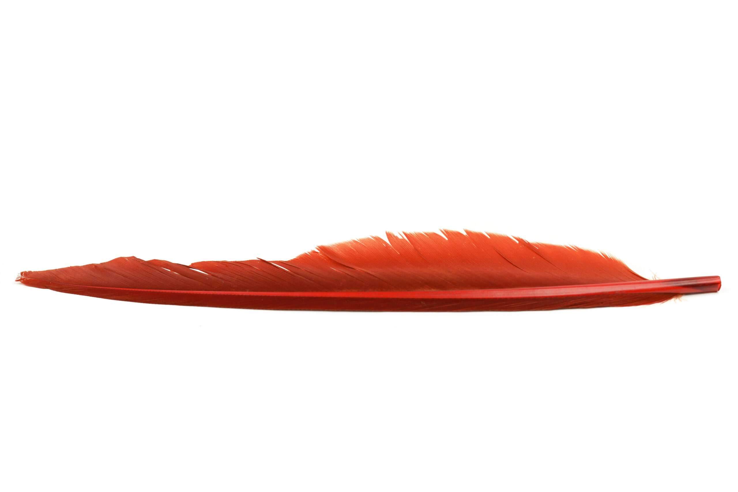 Veniard duck quill/Anka vingpenna - 13