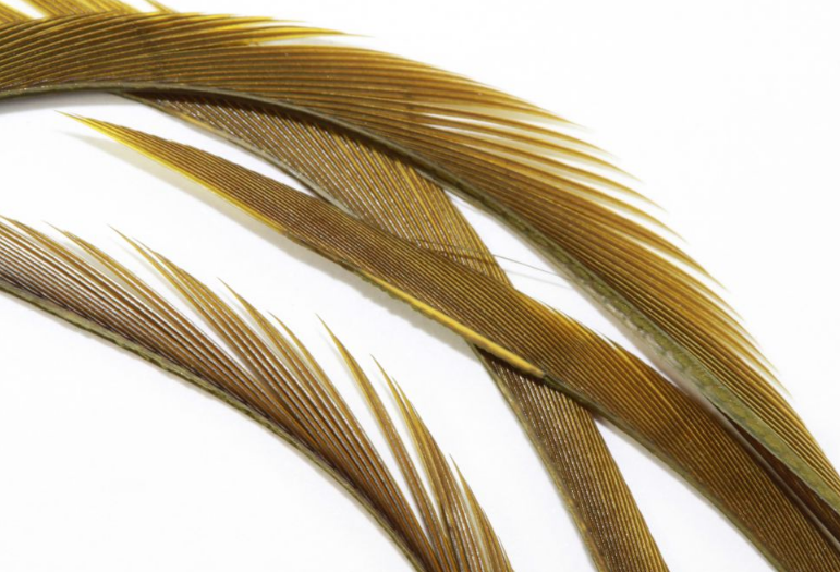 Goose Biot Strips - 7