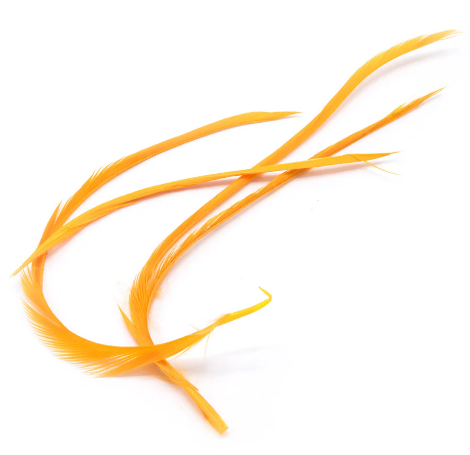 Goose Biot Strips - 10