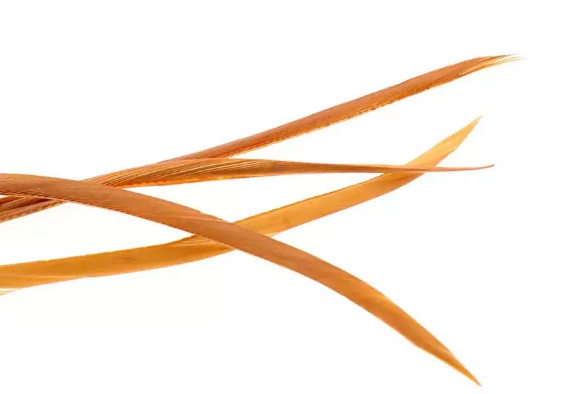Goose Biot Strips - 5