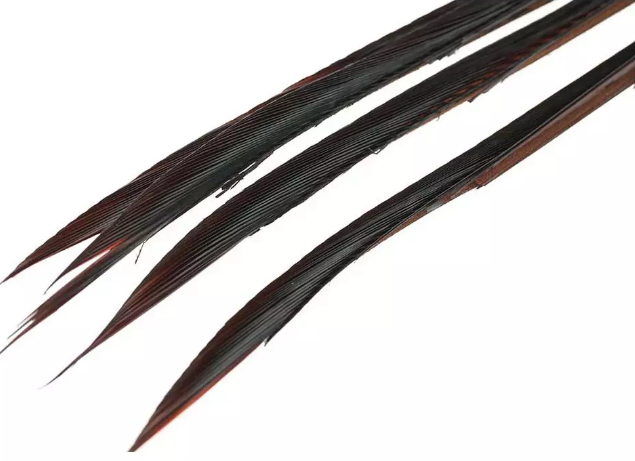 Goose Biot Strips - 4
