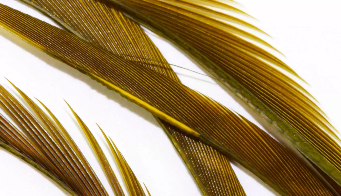 Goose Biot Strips - 6