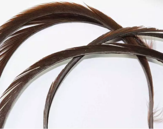 Goose Biot Strips - 3
