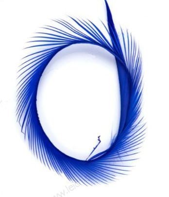 Goose Biot Strips - 9