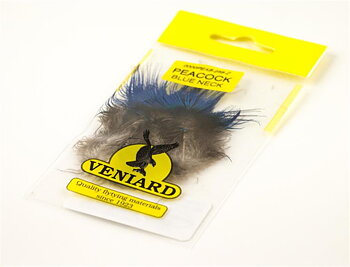 Veniard Påfågel blått nackhackel.