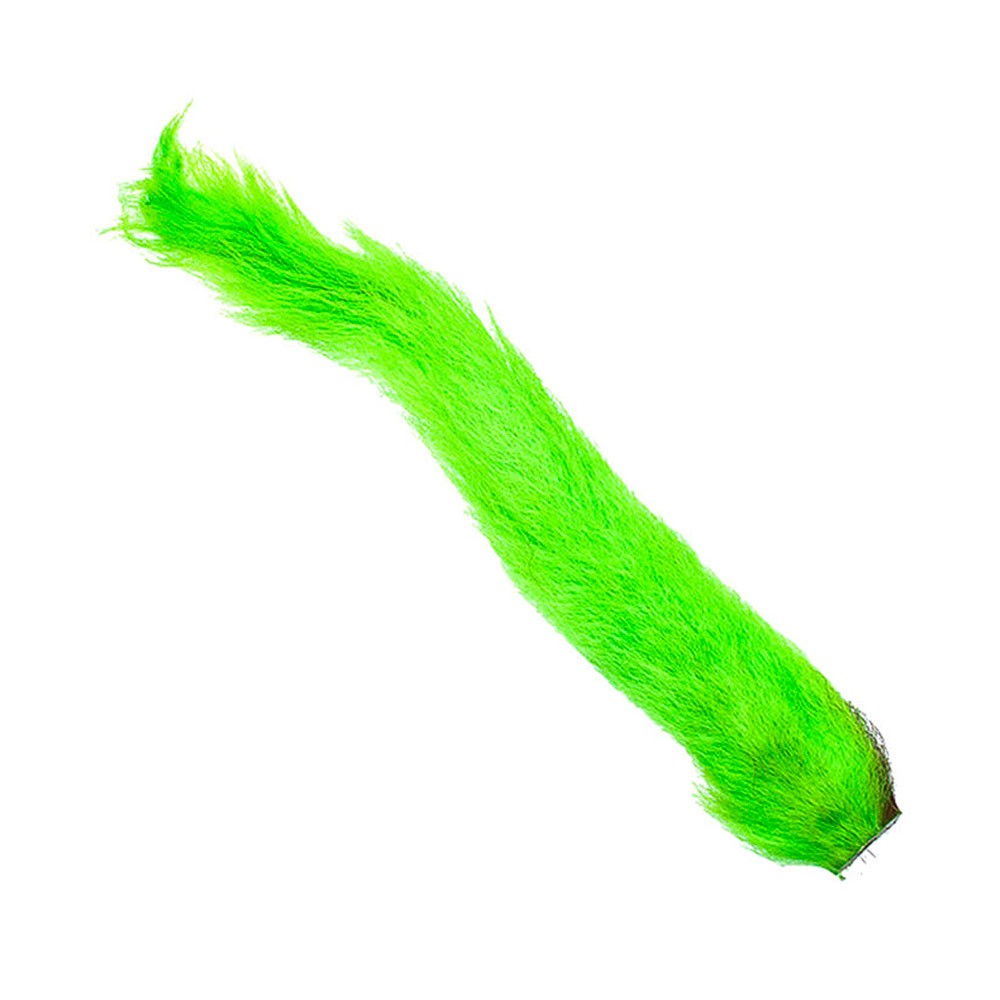 Kiptail - 7