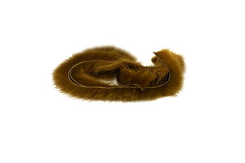 Micro Mink Strips