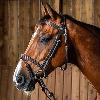 DYON WORKING BRIDLE KOMBINERAD NOSGRIMMA