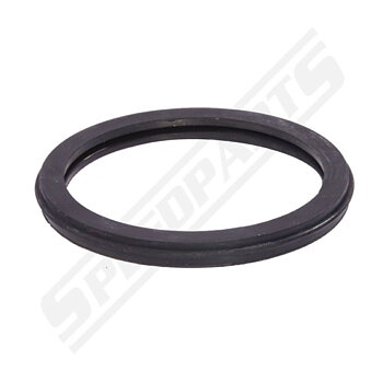 Thermostat gasket