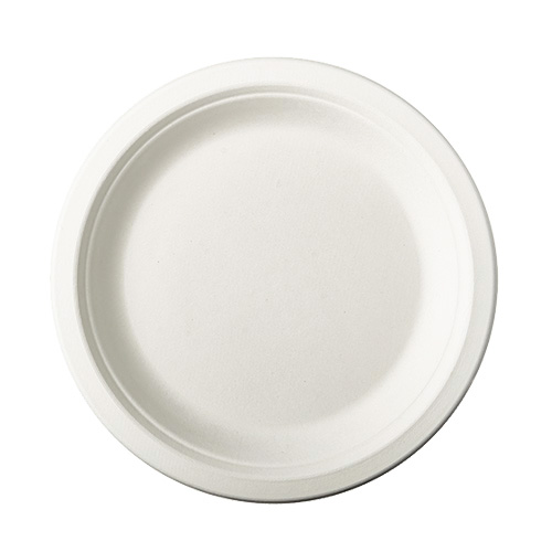 Plastfri engangsplade