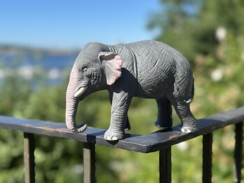 Elefant M (Mamma)WS