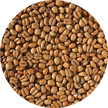 Torrefied Wheat (Crisp), whole, 1 kg