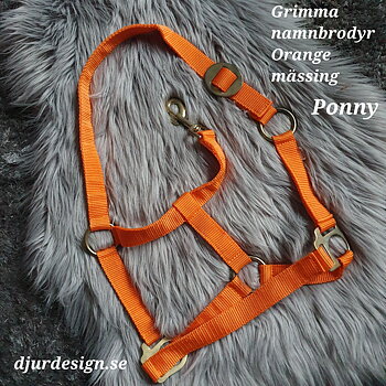 PONNY Orange mässing  med namn brodyr