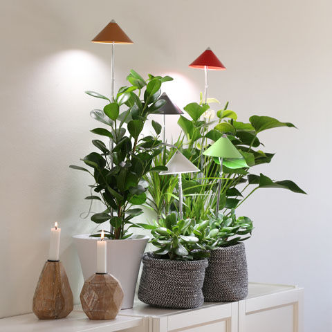 Sunlite Växtlampa Koppar - 2
