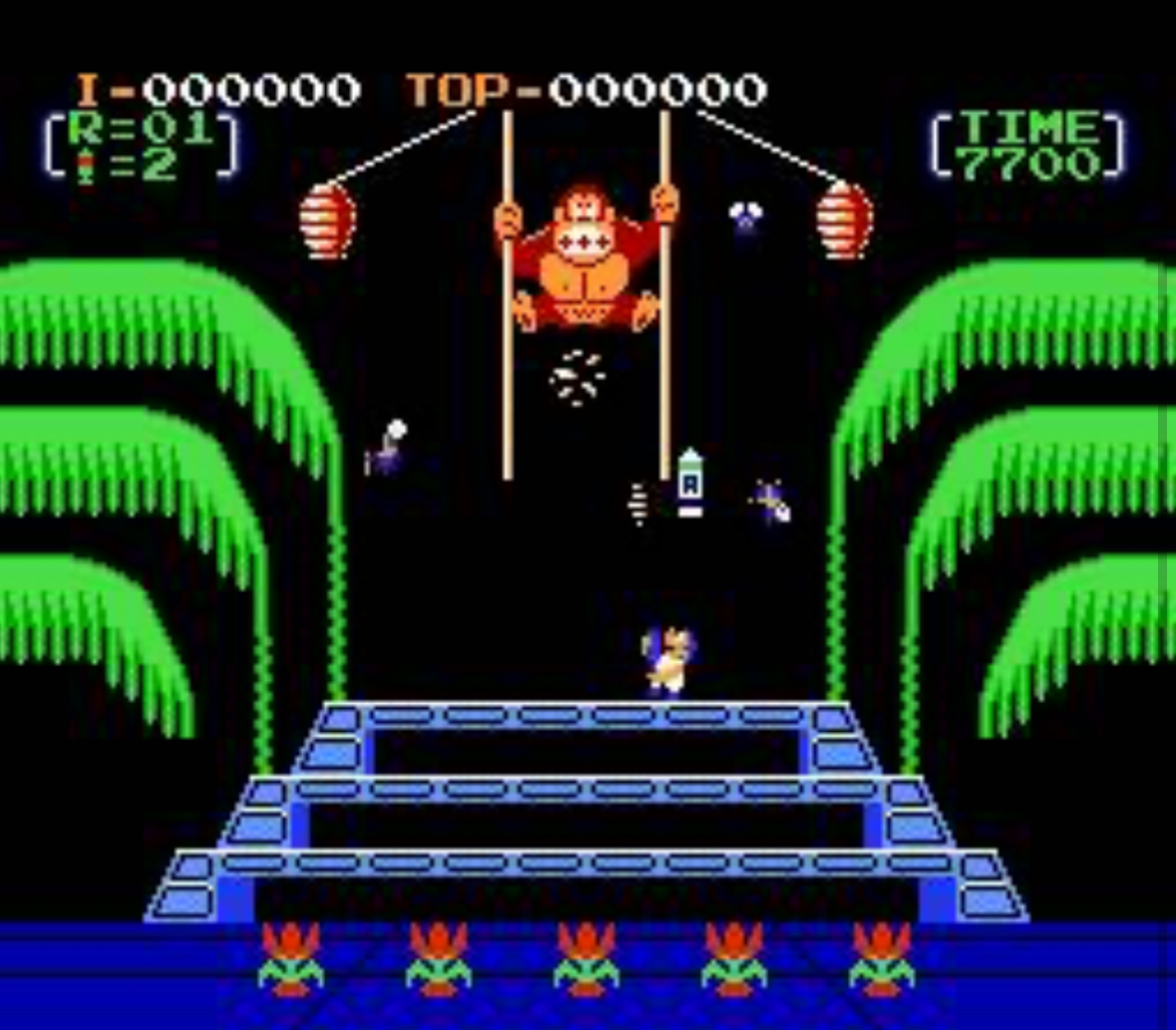 Donkey Kong 3 - NES - 3