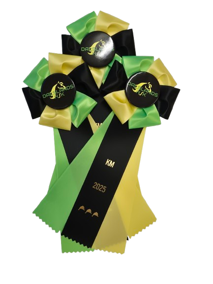 62013 - Rosette für Pferd, Hund, Katze, Veranstaltung, 30 cm - 4