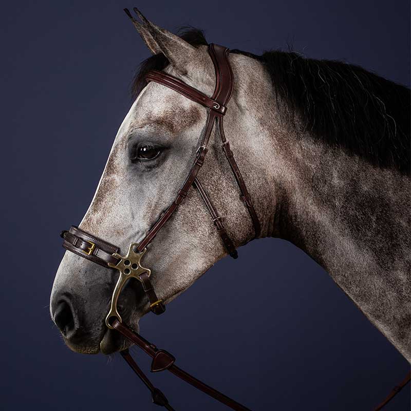 DYON TRÄNS FÖR HACKAMORE - 3