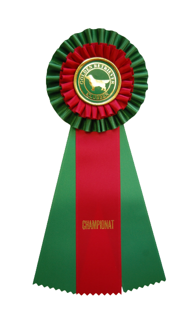 62023 - Rosette for horse, dog, event, 30 cm - 7