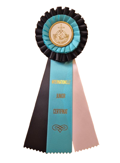 62023 - Rosette for horse, dog, event, 30 cm - 2
