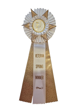 62210 - Rosette für Pferd, Hund, Veranstaltung, 38 cm
