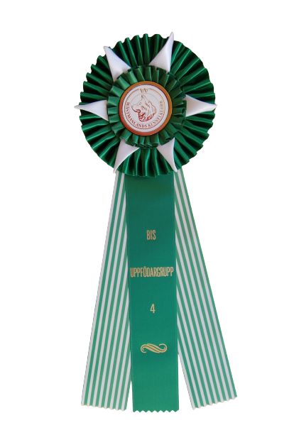 62210 - Rosett för häst, hund, event, 38 cm - 7