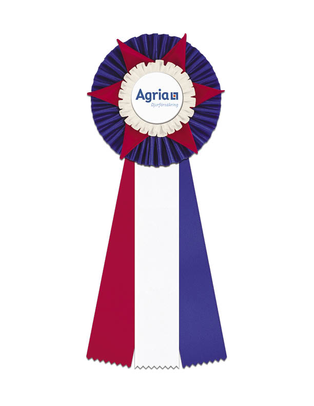 62210 - Rosette für Pferd, Hund, Veranstaltung, 38 cm - 9