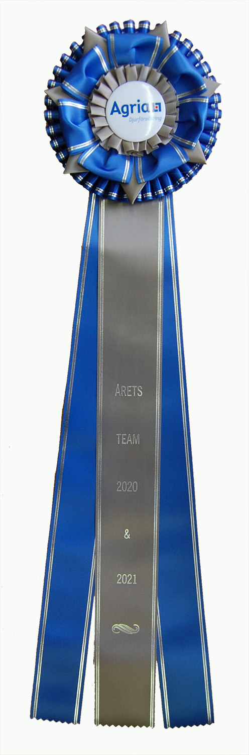 62240 - Rosette für Pferd, Hund, Veranstaltung mit Goldrand, 71 cm - 2
