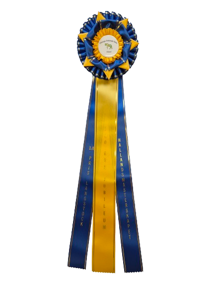62240 - Rosette für Pferd, Hund, Veranstaltung mit Goldrand, 71 cm - 3