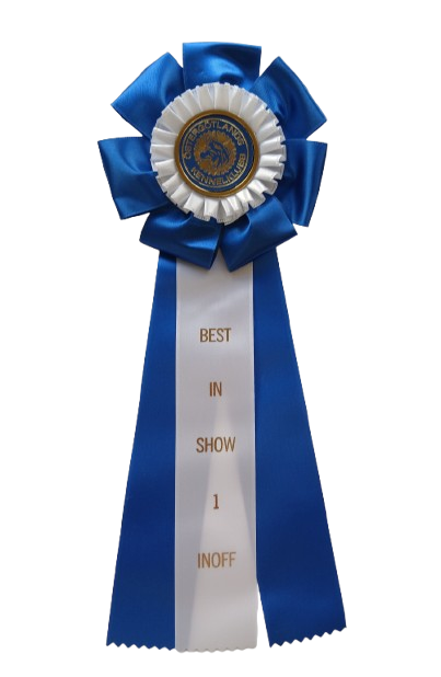 62700 - Rosett til hest, hund, event, 38 cm