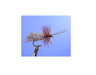 Goddard Caddis