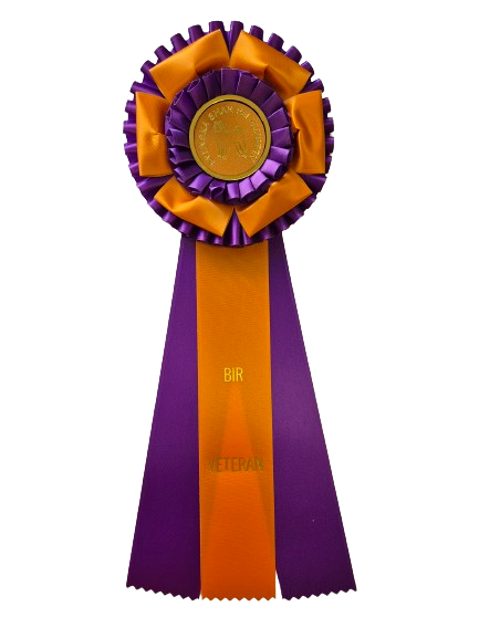 62770 - Rosette für Pferd, Hund, Veranstaltung, 38 cm - 2